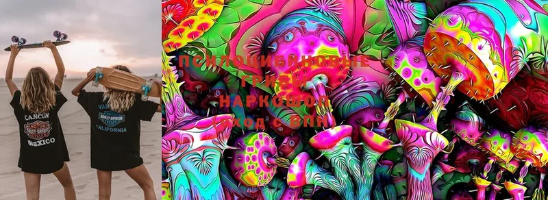 Псилоцибиновые грибы MAGIC MUSHROOMS  Сосногорск 